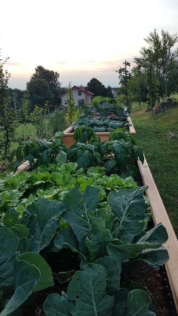 Image #2 from Zdenka